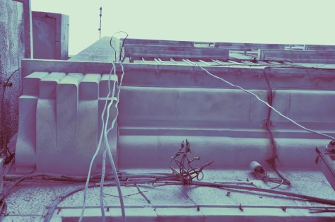 Field - my photography - supporting work 